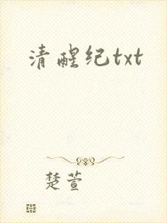 清醒纪txt