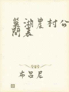 巢湖农村公交时间表