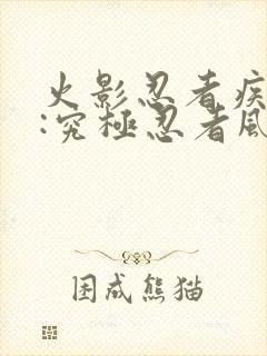 火影忍者疾风传:究极忍者风暴4