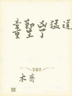 章节凶猛道侣也重生了