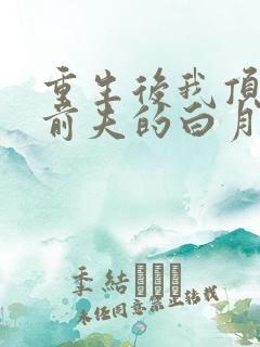 重生后我顶替了前夫的白月光完结