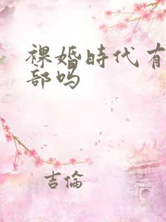 裸婚时代有第二部吗