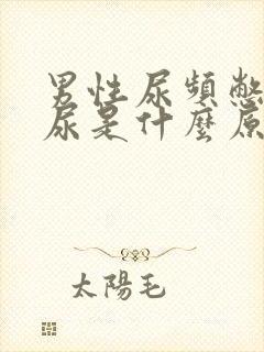 男性尿频憋不住尿是什么原因