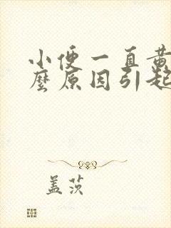 小便一直黄是什么原因引起的