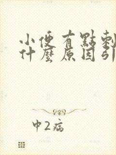 小便有点刺痛是什么原因引起的