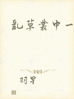 乱草丛中一杆枪