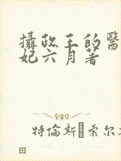 摄政王的医品狂妃六月著