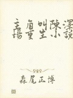 主角叫陈泽的官场重生小说