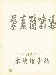 尿有点味道是什么原因引起的