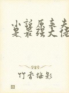 小说原来夫人才是最强大佬全文阅读