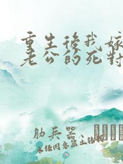 重生后我嫁给了老公的死对头 短剧