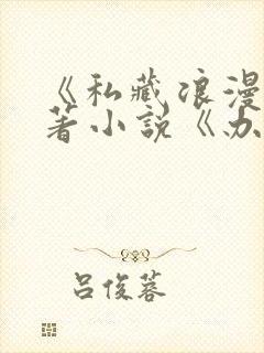 《私藏浪漫》原著小说《办公室隐婚》