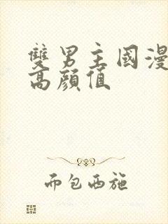 双男主国漫推荐高颜值