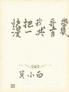 快把我哥带走动漫一共有几季