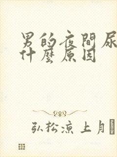 男的夜间尿频是什么原因