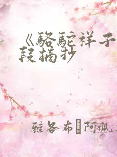 《骆驼祥子》文段摘抄