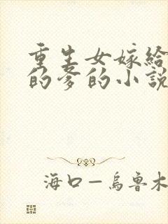 重生女嫁给老公的爹的小说