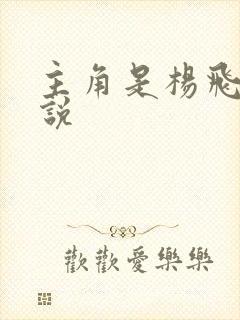 主角是杨飞的小说