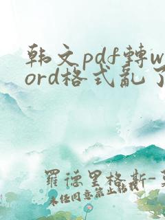 韩文pdf转word格式乱了怎么调整