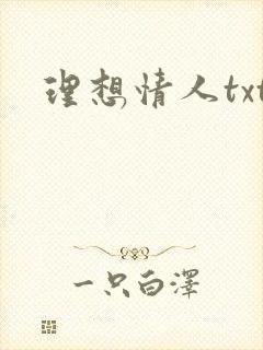 理想情人txt