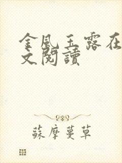 金风玉露在线全文阅读