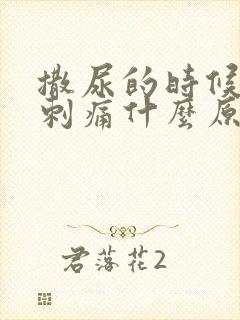 撒尿的时候尿道刺痛什么原因