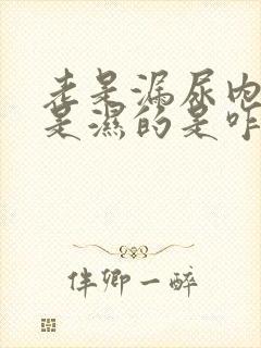 老是漏尿内裤老是湿的是咋回事啊