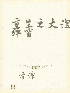 重生之大涅磐无弹窗