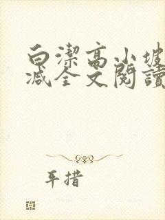 白洁高小坡无删减全文阅读在线
