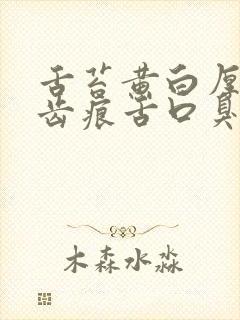 舌苔黄白厚腻有齿痕舌口臭