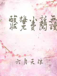酸梅小说无删减版免费阅读