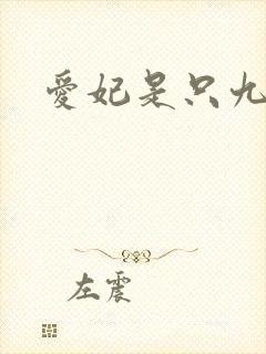 爱妃是只九尾猫