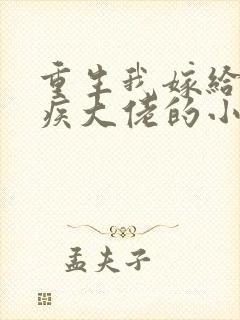 重生我嫁给了残疾大佬的小说