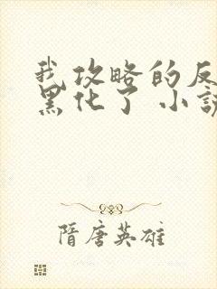 我攻略的反派都黑化了 小说