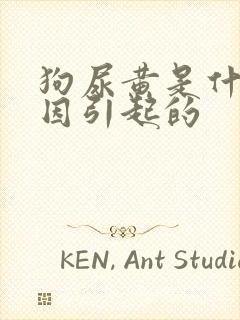 狗尿黄是什么原因引起的