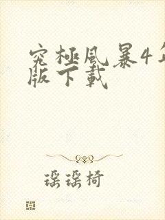 究极风暴4年度版下载