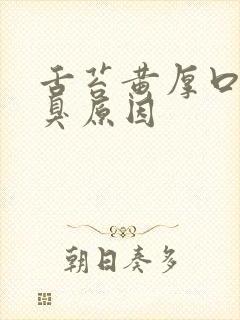 舌苔黄厚口苦口臭原因