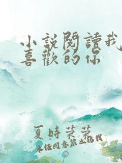 小说阅读我和我喜欢的你