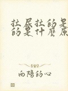 拉尿拉的是红色的是什么原因