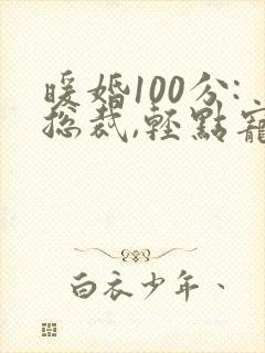 暖婚100分:总裁,轻点宠小说