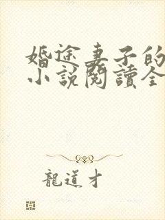 婚途妻子的秘密小说阅读全文