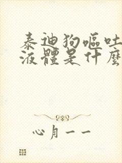 泰迪狗呕吐黄色液体是什么原因