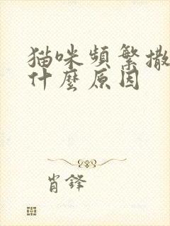 猫咪频繁撒尿是什么原因