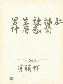 男生被插肛门是什么感觉