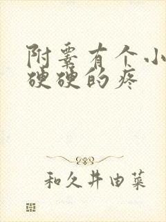 附睾有个小疙瘩硬硬的疼