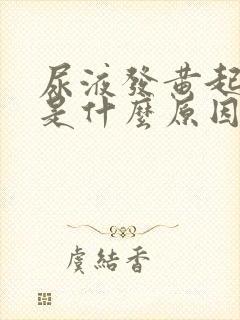 尿液发黄起泡沫是什么原因