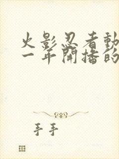 火影忍者动漫哪一年开播的