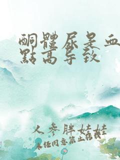 酮体尿是血糖有点高导致