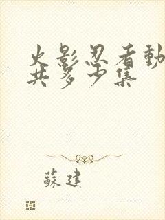 火影忍者动漫一共多少集