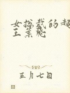 女总裁的超级兵王叶飞